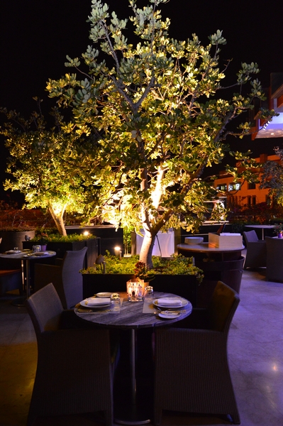 Fire Fridays at Indigo on the Roof 